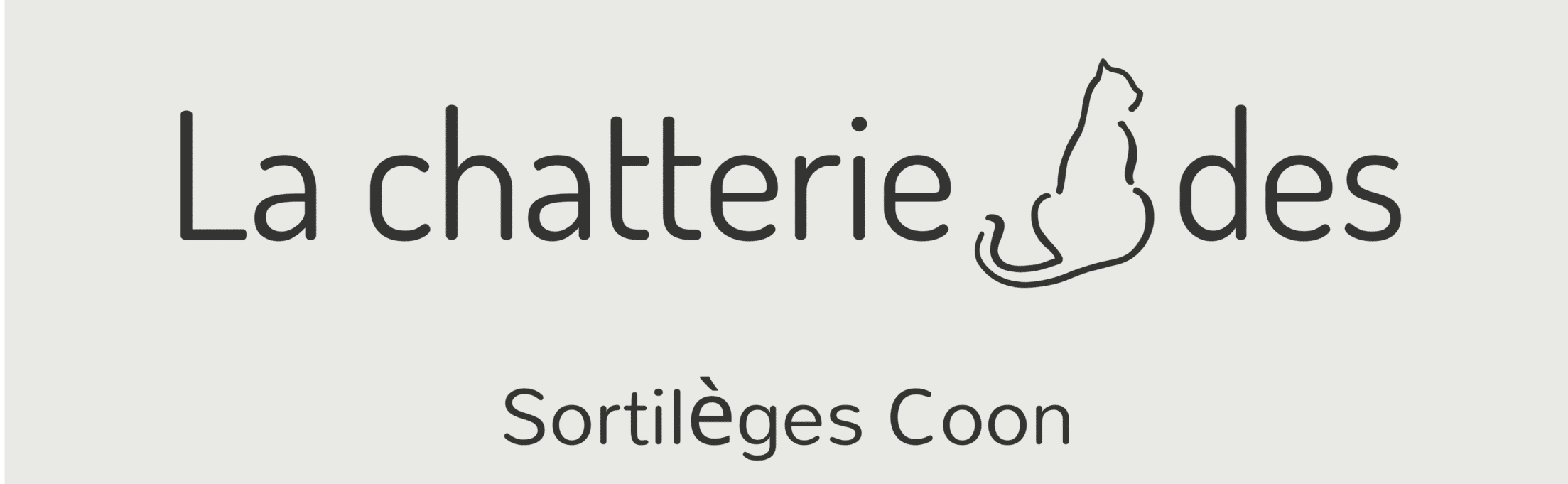 La chatterie des Sortilèges Coon